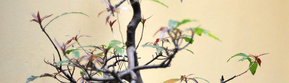 Reception BD Allerton CE Primary, Leeds